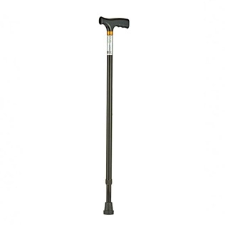 Imported walking stick